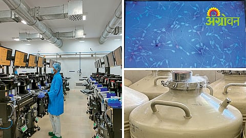 Artificial Insemination Storage