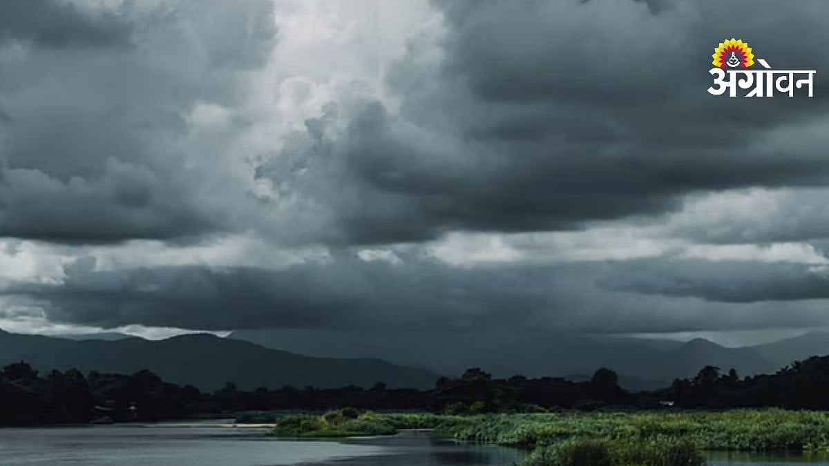 Maharashtra Weather Update: Pre-Monsoon Showers Likely Maharashtra Weather Update: Pre-Monsoon Showers Likely