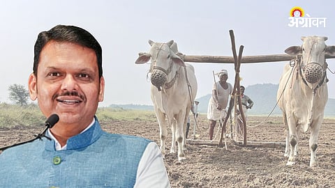 Farm Loan Waiver