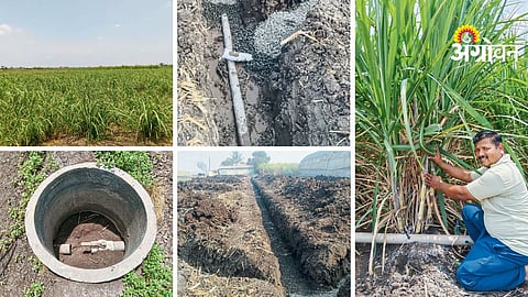 Farmer Success Story