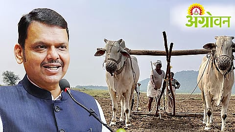 Farmer Loan Waiver 