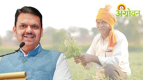 Farm Loan Waiver