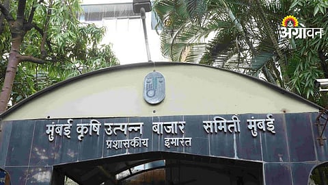 Mumbai APMC