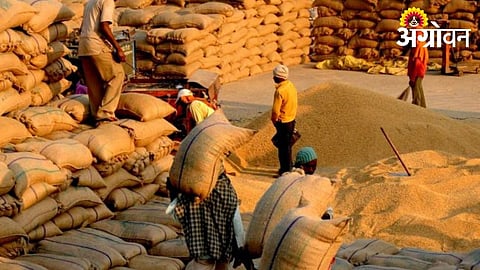 Over 40,000 Quintals of Paddy Await Purchase at Procurement Centres