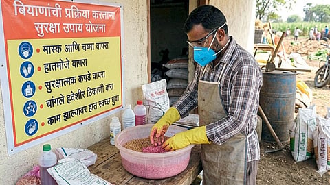 Seed Treatment