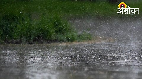 Stormy Weather Disrupts Power Supply, Damages Farms in Ahilyanagar