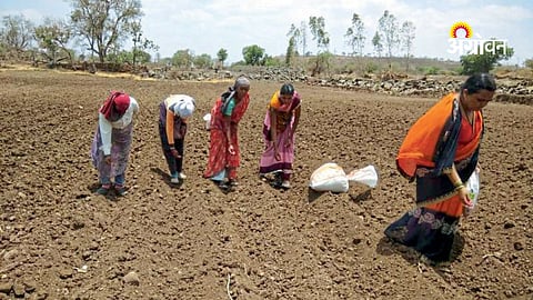 Dry sowing delayed in Khandesh