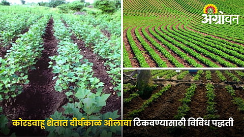 Effective Water Conservation Practices for Higher Crop Yield
