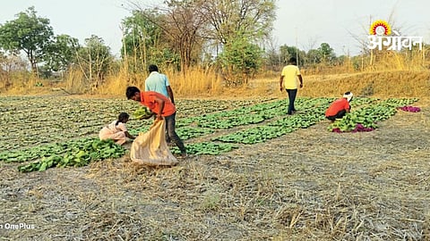 Forest Rights Act