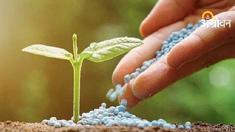DAP Fertilizers Alternative