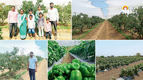 Solapur farmer success story in organic agriculture