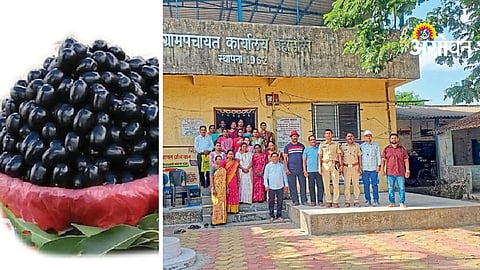 Jamun Processing Industry