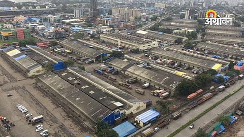 Vashi fruit market 