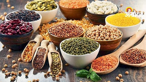 Oilsee Processing Industry