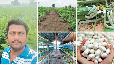 Sericulture Success Story