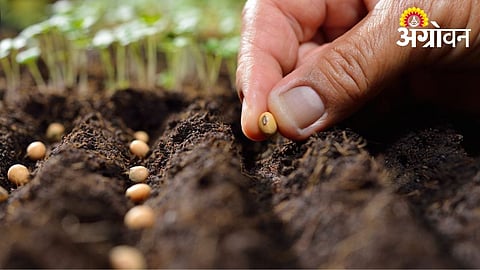 Do Not Rush Kharif Sowing, Says Agriculture Department