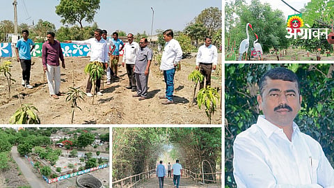 Environment Conservation