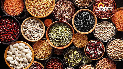 Subsidy Available for Pulse Processing and Packaging Units