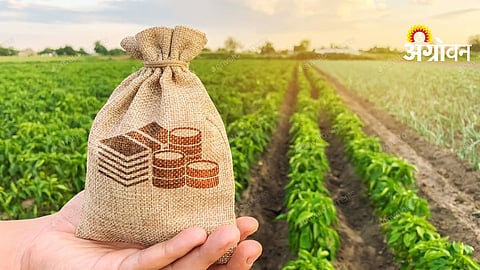 Farmer Loan Account Verification