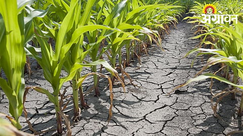 Low Reservoir Storage Raises Concern for Standing Crops