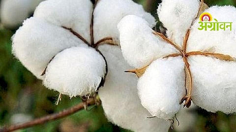 Crop Impact Management