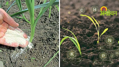 Kharif Crop Planning