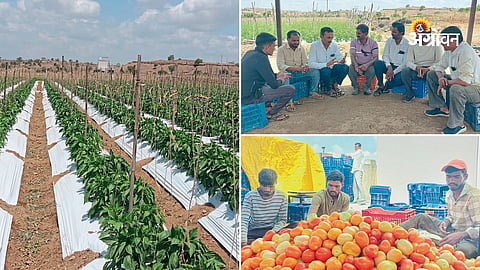 Rural entrepreneurship among young farmers