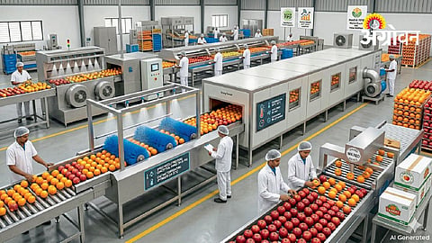 Food Quality