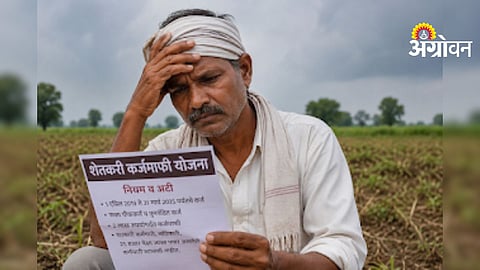 Farmer loan Waiver Policy