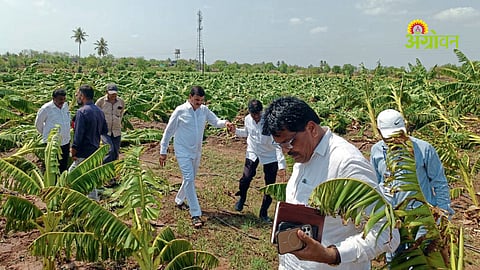 Dattatray Bharane farmer relief announcement