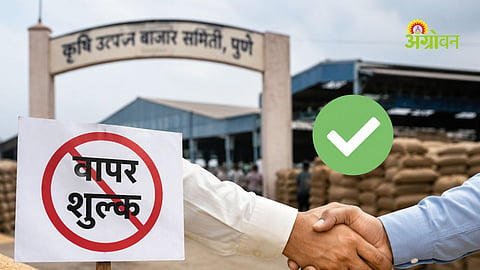 Pune APMC user charges protest suspended