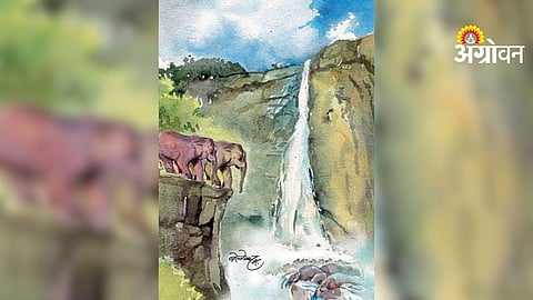 Inspirational thoughts on loss and healing