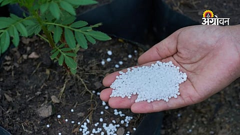 Akola urea fertilizer supply for kharif season