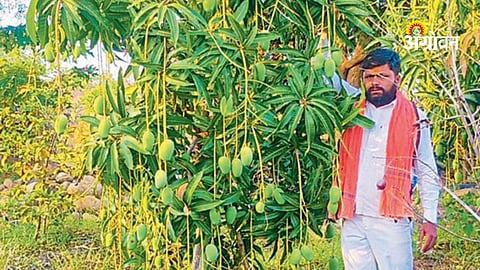 Eco-friendly agriculture success in Maharashtra