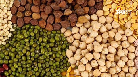 Effect of fertilizer supply shortage on agriculture