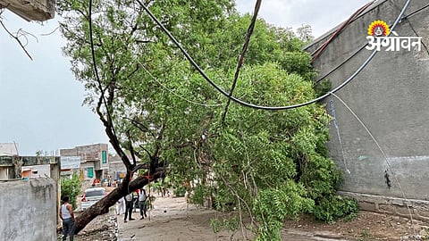 Heavy Rain Damage