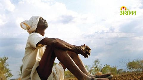 Impact of delayed monsoon on seed sales