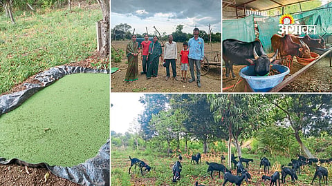 Satara farmer earns sustainable income through goat farming