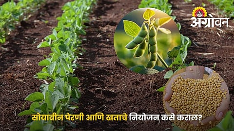 Soybean Cultivation Under El Nino Conditions