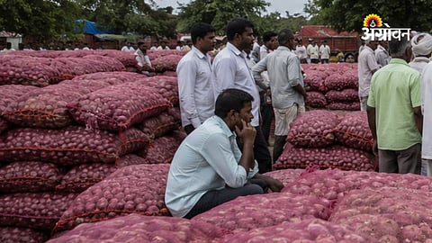 Onion Procurement