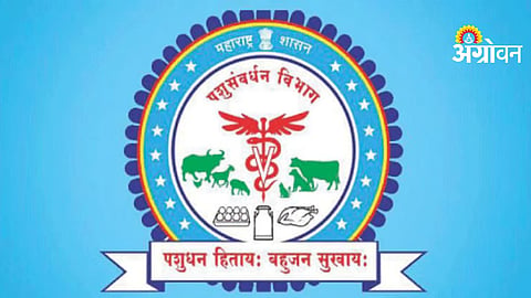 Animal Husbandry Department