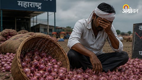 Onion Price Crash
