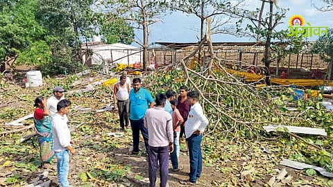 Rain Crop Damage