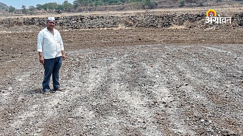 Field burning for seedling nursery