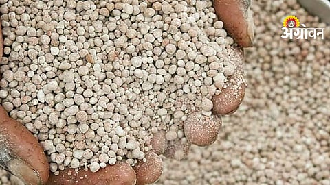 Fake Fertilizer Sale
