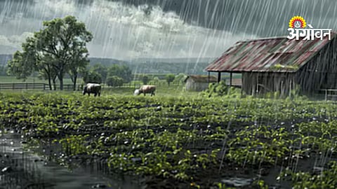 Sangli Pre Monsoon Rain