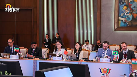 BRICS Agriculture Working Group