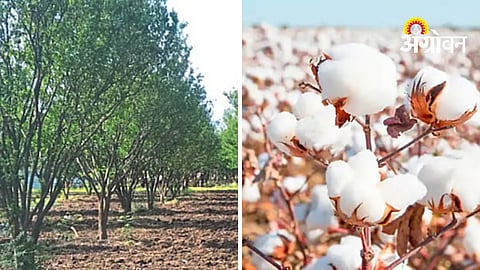 Modern Farming Techniques
