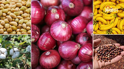 Agri Market Price Update