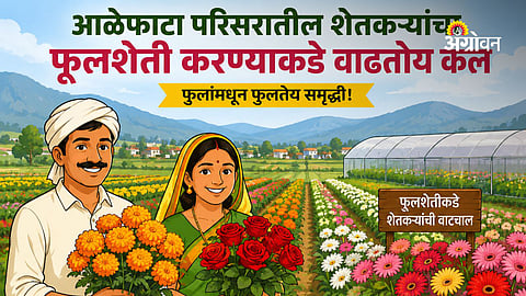 Pune farmers adopting flower cultivation